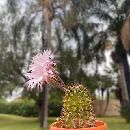 Villa Piruzzu Cv Torre Mulinazzo App P Чинизи Экстерьер фото
